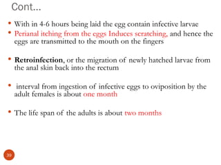 Cont…
 With in 4-6 hours being laid the egg contain infective larvae
 Perianal itching from the eggs Induces scratching, and hence the
eggs are transmitted to the mouth on the fingers
 Retroinfection, or the migration of newly hatched larvae from
the anal skin back into the rectum
 interval from ingestion of infective eggs to oviposition by the
adult females is about one month
 The life span of the adults is about two months
39
 