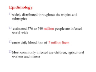 Epidimology
widely distributed throughout the tropics and
subtropics
 estimated 576 to 740 million people are infected
world-wide
cause daily blood loss of 7 million liters
Most commonly infected are children, agricultural
workers and miners
 