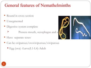General features of Nemathelminths
 Round in cross-section
 Unsegmented
 Digestive system complete
 Possess mouth, oesophagus and anus
 Have separate sexes
 Can be oviparous/ovoviviporous/viviparous
 Egg (ova) -Larva(L1-L4)-Adult
5
 