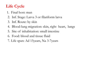 Life Cycle
1. Final host: man
2. Inf. Stage: Larva 3 or filariform larva
3. Inf. Route: by skin
4. Blood-lung migration: skin, right heart, lungs
5. Site of inhabitation: small intestine
6. Food: blood and tissue fluid
7. Life span: Ad 15years, Na 3-7years
 