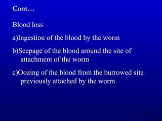 Blood loss
a)Ingestion of the blood by the worm
b)Seepage of the blood around the site of
attachment of the worm
c)Oozing of the blood from the burrowed site
previously attached by the worm
Cont…
64
 