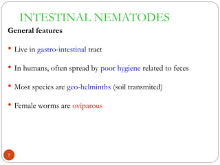 INTESTINAL NEMATODES
General features
 Live in gastro-intestinal tract
 In humans, often spread by poor hygiene related to feces
 Most species are geo-helminths (soil transmited)
 Female worms are oviparous
7
 