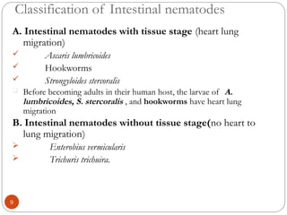 Classification of Intestinal nematodes
A. Intestinal nematodes with tissue stage (heart lung
migration)
 Ascaris lumbricoides
 Hookworms
 Strongyloides stercoralis
 Before becoming adults in their human host, the larvae of A.
lumbricoides, S. stercoralis , and hookworms have heart lung
migration
B. Intestinal nematodes without tissue stage(no heart to
lung migration)
 Enterobius vermicularis
 Trichuris trichuira.
9
 