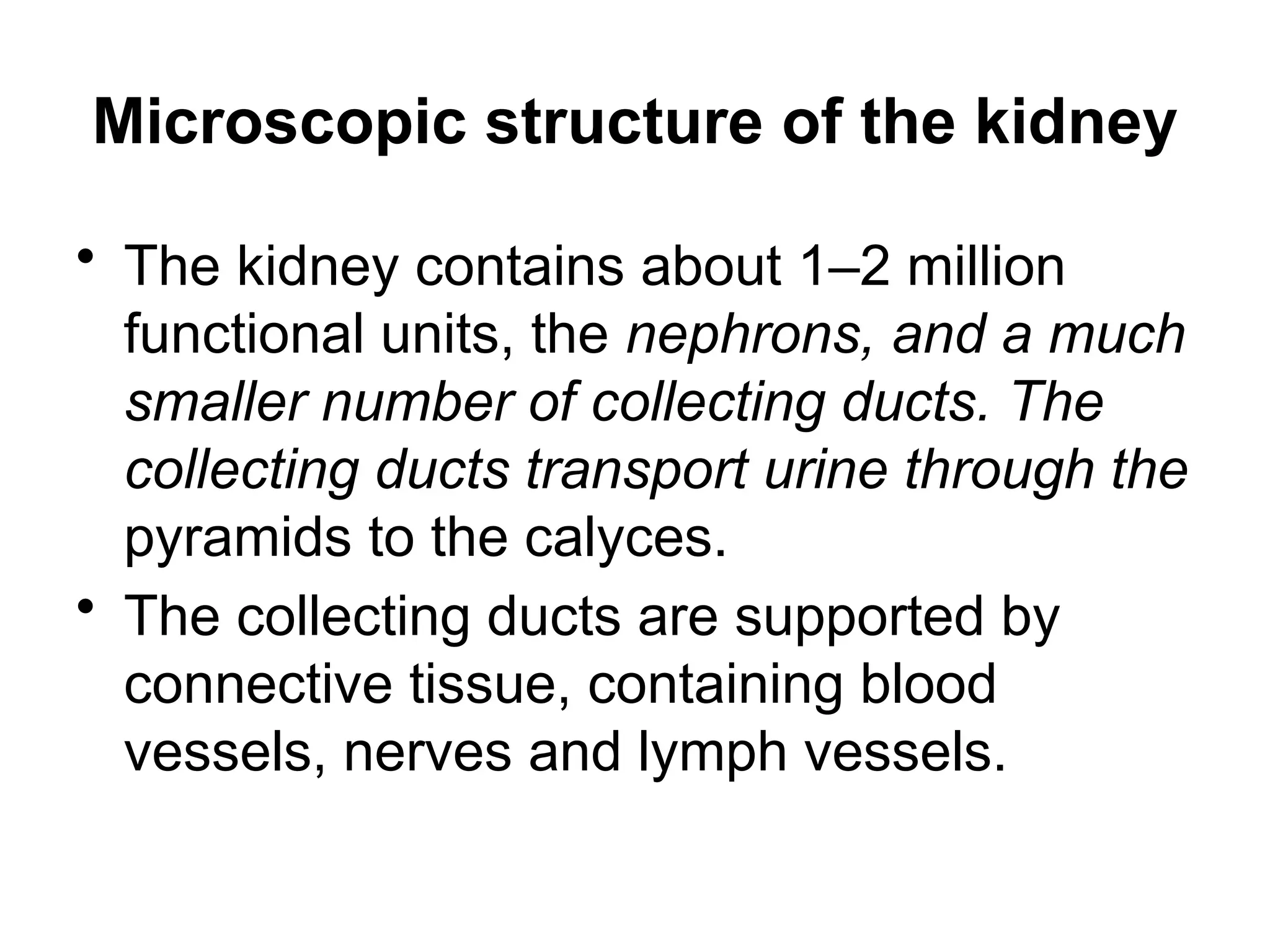 Microscopic structure of the kidney
• The kidney contains about 1–2 million
functional units, the nephrons, and a much
smaller number of collecting ducts. The
collecting ducts transport urine through the
pyramids to the calyces.
• The collecting ducts are supported by
connective tissue, containing blood
vessels, nerves and lymph vessels.
 