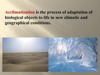 5. Acclimatization.ppt and prosperous and prosperous | PPT