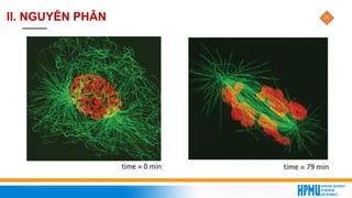 26
II. NGUYÊN PHÂN
 