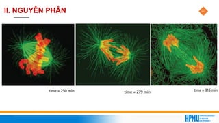 27
II. NGUYÊN PHÂN
 