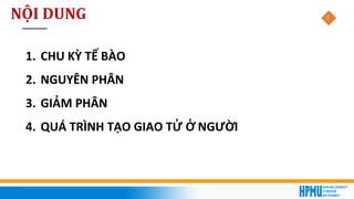 3
1. CHU KỲ TẾ BÀO
2. NGUYÊN PHÂN
3. GIẢM PHÂN
4. QUÁ TRÌNH TẠO GIAO TỬ Ở NGƯỜI
NỘI DUNG
 