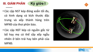 37
Kỳ giữa I
• Các cặp NST kép đóng xoắn tối đa,
có hình dạng và kích thước đặc
trưng và xếp thành hàng trên
MPXĐ của thoi phân bào.
• Các cặp NST kép có nguồn gốc từ
bố hay mẹ có thể sắp xếp ngẫu
nhiên ở bên trái hay bên phải của
MPXĐ.
III. GIẢM PHÂN
 