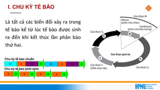 4
Là tất cả các biến đổi xảy ra trong
tế bào kể từ lúc tế bào được sinh
ra đến khi kết thúc lần phân bào
thứ hai.
I. CHU KỲ TẾ BÀO
 