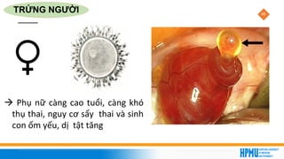 48
TRỨNG NGƯỜI
→ Phụ nữ càng cao tuổi, càng khó
thụ thai, nguy cơ sẩy thai và sinh
con ốm yếu, dị tật tăng
 