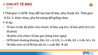 5
▪ Thời gian 1 CKTB thay đổi tùy loại tế bào, phụ thuộc G1. Thời gian
ở G1, S khác nhau, pha M tương đối giống nhau
▪ Ví dụ:
- Tế bào có tốc độ phân chia nhanh: tế bào ung thư, tế bào phôi thai (15-
20 phút)
- TB phân chia chậm: tế bào gan (hàng trăm ngày)
- CKTB bình thường khoảng 24h: G1  6-12h, S  6-8h, G2  3-4h; M  1h
- TB thần kinh có CKTB kéo dài G1  suốt đời → G0
I. CHU KỲ TẾ BÀO
 