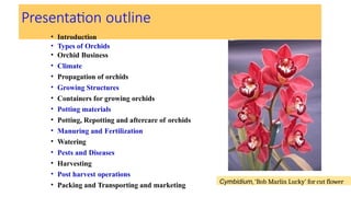 Presentation outline
• Introduction
• Types of Orchids
• Orchid Business
• Climate
• Propagation of orchids
• Growing Structures
• Containers for growing orchids
• Potting materials
• Potting, Repotting and aftercare of orchids
• Manuring and Fertilization
• Watering
• Pests and Diseases
• Harvesting
• Post harvest operations
• Packing and Transporting and marketing
Cymbidium, ‘Bob Marlin Lucky’ for cut flower
 