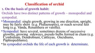 Classification of orchid
1. On the basis of growth habit:
Orchids have two distinct patterns of growth – monopodial and
sympodial.
• Monopodial: single growth, growing in one direction, upright,
may be fairly short (e.g. Phalaenopsis), or reach several feet
long (e.g. Vanda, Renanthera or vanilla).
• Sympodial: have several, sometimes dozens of successive
growths, growing sideways, pseudo bulbs formed in chain (e.g.
Cymbidium, Dendrobium, Cattleyas, Oncidiums,
Paphiopedilums).
• In sympodial orchids the life of each growth is determinate.
 