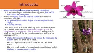 Introductio
n
• Orchids are monocots belonging to the family orchidaceae.
• is one of the largest families of flowering plants, has 30,000
species and 100,000 hybrids.
• Orchids are highly valued for their cut flowers in commercial
floriculture owing to
• the wide range of colours, shapes, sizes and fragrance they
display,
• with long vase life.
• These plants differ from other flowering plants due to their pollen
that is formed into a mass, their stamens and pistils, which are
joined together in a structure called a “column”, and their seeds,
which are very small, do not contain endosperm and have no
organized embryo.
• Orchid flowers consist of pedicel, the sepals, the petals, and the
column. Sepal and petals are in threes.
• The three sepals consist of the dorsal sepal and two lateral
sepals.
• The three petals consist of two petals and a modified one called
labellum, or more commonly, the lip.
 