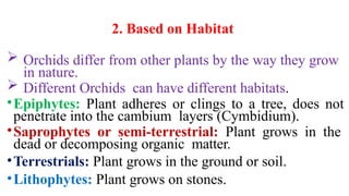 2. Based on Habitat
 Orchids differ from other plants by the way they grow
in nature.
 Different Orchids can have different habitats.
•Epiphytes: Plant adheres or clings to a tree, does not
penetrate into the cambium layers (Cymbidium).
•Saprophytes or semi-terrestrial: Plant grows in the
dead or decomposing organic matter.
•Terrestrials: Plant grows in the ground or soil.
•Lithophytes: Plant grows on stones.
 