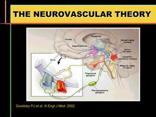 THE NEUROVASCULAR THEORY
Goadsby PJ et al. N Engl J Med. 2002.
 