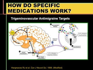 HOW DO SPECIFIC
MEDICATIONS WORK?
Trigeminovascular Antimigraine Targets
Hargreaves RJ et al. Can J Neurol Sci. 1999. (Modified)
 