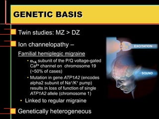 GENETIC BASIS
Twin studies: MZ > DZ
Ion channelopathy –
Familial hemiplegic migraine
• 1A subunit of the P/Q voltage-gated
Ca2+ channel on chromosome 19
(~50% of cases)
• Mutation in gene ATP1A2 (encodes
alpha2 subunit of Na+/K+ pump)
results in loss of function of single
ATP1A2 allele (chromosome 1)
• Linked to regular migraine
Genetically heterogeneous
EXCITATION
SOUND
 