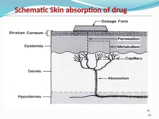 45
45
Schematic Skin absorption of drug
 