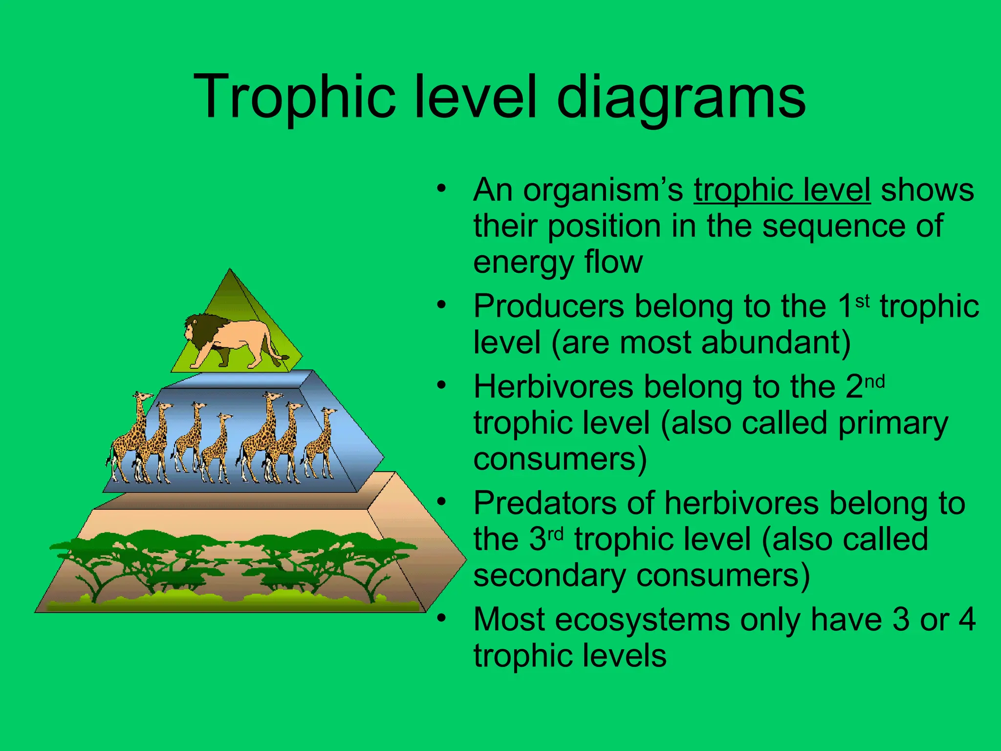 Trophic level diagrams
• An organism’s trophic level shows
their position in the sequence of
energy flow
• Producers belong to the 1st
trophic
level (are most abundant)
• Herbivores belong to the 2nd
trophic level (also called primary
consumers)
• Predators of herbivores belong to
the 3rd
trophic level (also called
secondary consumers)
• Most ecosystems only have 3 or 4
trophic levels
 