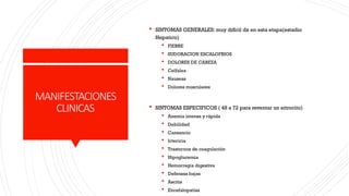 MANIFESTACIONES
CLINICAS
 SINTOMAS GENERALES: muy difícil dx en esta etapa(estadio
Hepatico)
 FIEBRE
 SUDORACION ESCALOFRIOS
 DOLORES DE CABEZA
 Celfalea
 Nauseas
 Dolores musculares
 SINTOMAS ESPECIFICOS ( 48 a 72 para reventar un eitrocito)
 Anemia intensa y rápida
 Debilidad
 Cansancio
 Ictericia
 Trastornos de coagulación
 Hipoglucemia
 Hemorragia digestiva
 Defensas bajas
 Ascitis
 Encefalopatías
 