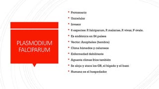 PLASMODIUM
FALCIPARUM
 Protozoario
 Unicelular
 Invasor
 6 especies: P. falciparum, P. malariae, P. vivax, P ovale.
 Es endémica en 84 países
 Vector: Anopheles (hembra)
 Clima húmedos y calurosos
 Enfermedad debilitante
 Aguanta climas fríos también
 Se aloja y ataca los GR, el hígado y el bazo
 Humano es el hospedador
 