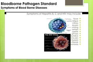 Bloodborne Pathogen Standard
Symptoms of Blood Borne Diseases
Symptoms of Hepatitis B, C and HIV may include
:

Fever

Fatigue

Flu-like illness

Nausea

Vomiting

Diarrhea

Loss of Appetite

Weight loss

Jaundice

Itchy skin

Night Sweats

Swollen Lymph Glands

Pneumonia
 