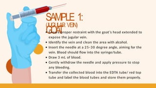 SAMPLE 1:
GOA
T
(JUGULAR VEIN)
Ensure proper restraint with the goat’s head extended to
expose the jugular vein.
Identify the vein and clean the area with alcohol.
Insert the needle at a 25-30 degree angle, aiming for the
vein. Blood should flow into the syringe/tube.
Draw 3 mL of blood.
Gently withdraw the needle and apply pressure to stop
any bleeding.
Transfer the collected blood into the EDTA tube/ red top
tube and label the blood tubes and store them properly.
 
