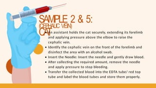 SAMPLE 2 & 5:
CA
T
(CEPHALIC VEIN)
An assistant holds the cat securely, extending its forelimb
and applying pressure above the elbow to raise the
cephalic vein.
Identify the cephalic vein on the front of the forelimb and
disinfect the area with an alcohol swab.
Insert the Needle: Insert the needle and gently draw blood.
After collecting the required amount, remove the needle
and apply pressure to stop bleeding.
Transfer the collected blood into the EDTA tube/ red top
tube and label the blood tubes and store them properly.
 