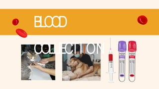 BLOOD
COLLECTIION
 