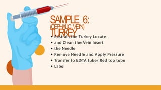 SAMPLE 6:
TURKEY
(CEPHALIC VEIN)
Restrain the Turkey Locate
and Clean the Vein Insert
the Needle
Remove Needle and Apply Pressure
Transfer to EDTA tube/ Red top tube
Label
 