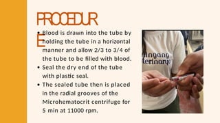 PROCEDUR
E
Blood is drawn into the tube by
holding the tube in a horizontal
manner and allow 2/3 to 3/4 of
the tube to be filled with blood.
Seal the dry end of the tube
with plastic seal.
The sealed tube then is placed
in the radial grooves of the
Microhematocrit centrifuge for
5 min at 11000 rpm.
 