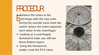 PROCEDUR
E
Balance the tubes in the
centrifuge with the clay ends
facing the outside away from the
center (place the tubes opposite
each other in the centrifuge).
Looking at a centrifuged
hematoerit tube, you will see
three distinct layers.
Using the hematocrit
reader, read the PCV value.
 