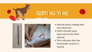 C
L
OT
TIING TIIME
RESUL
T
Normal blood clotting time
was observed
Fibrin threads were
observed at the third
interval.
This indicates that the
hemostatic system is
normal
 