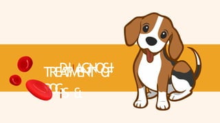 DIIAGNOSI
IS &
TREA
TMENT O
F
D
O
G
 