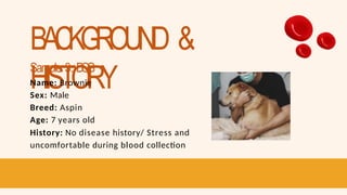 BACKGROUND &
HISTORY
Sample 3: D
O
G
Name: Brownie
Sex: Male
Breed: Aspin
Age: 7 years old
History: No disease history/ Stress and
uncomfortable during blood collection
 
