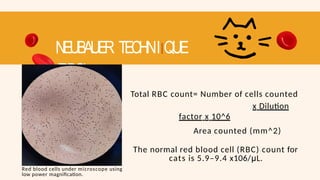 NEUBAUER TECHNIIQUE
(RBC)
Red blood cells under microscope using
low power magnification.
Total RBC count= Number of cells counted
x Dilution
factor x 10^6
Area counted (mm^2)
The normal red blood cell (RBC) count for
cats is 5.9–9.4 x106/μL.
 