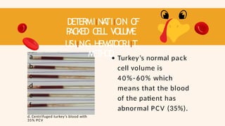 DETERMIINA
TIION O
F
P
ACKED CELL VOLUME
USIING HEMA
T
OCRIIT
METHOD
a
b
c
d
e
f
d. Centrifuged turkey’s blood with
35% PCV
Turkey’s normal pack
cell volume is
40%-60% which
means that the blood
of the patient has
abnormal PCV (35%).
 