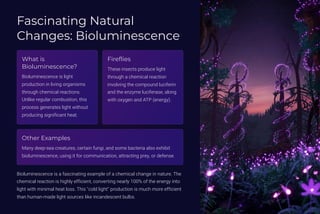 Fascinating Natural
Changes: Bioluminescence
What is
Bioluminescence?
Bioluminescence is light
production in living organisms
through chemical reactions.
Unlike regular combustion, this
process generates light without
producing significant heat.
Fireflies
These insects produce light
through a chemical reaction
involving the compound luciferin
and the enzyme luciferase, along
with oxygen and ATP (energy).
Other Examples
Many deep-sea creatures, certain fungi, and some bacteria also exhibit
bioluminescence, using it for communication, attracting prey, or defense.
Bioluminescence is a fascinating example of a chemical change in nature. The
chemical reaction is highly efficient, converting nearly 100% of the energy into
light with minimal heat loss. This "cold light" production is much more efficient
than human-made light sources like incandescent bulbs.
 