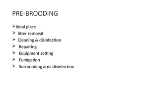 5. Brooding phases Of any Breed of Chickens | PPTX