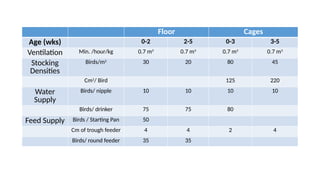 5. Brooding phases Of any Breed of Chickens | PPTX