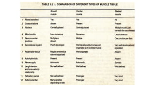 5. Smooth Muscle anatomy and contraction .pptx