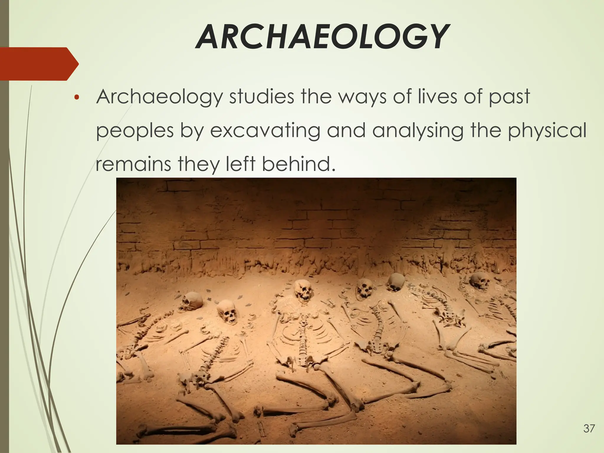 5. Anthropology.pptx anthropology presentation | PPT