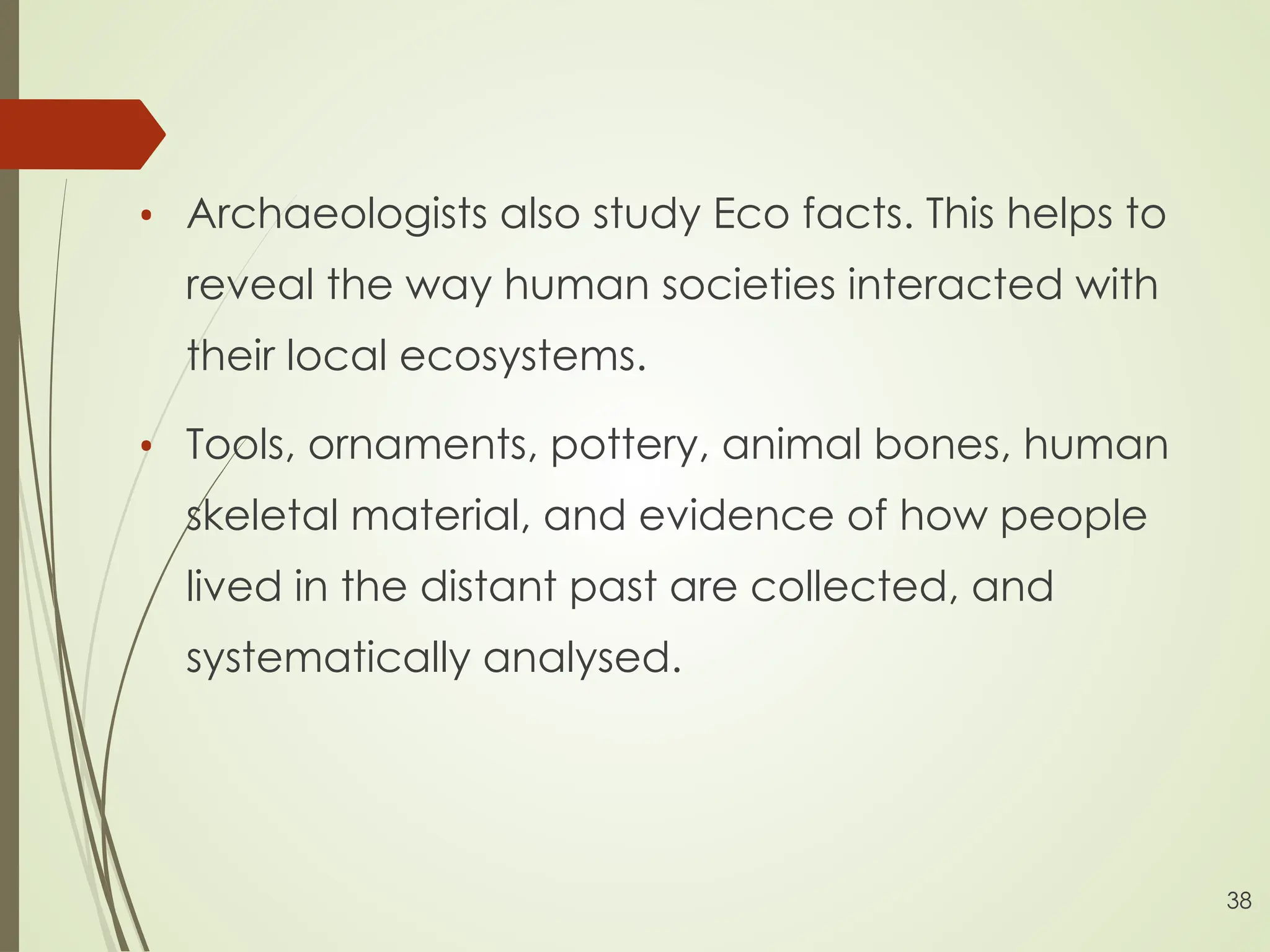 5. Anthropology.pptx anthropology presentation | PPT