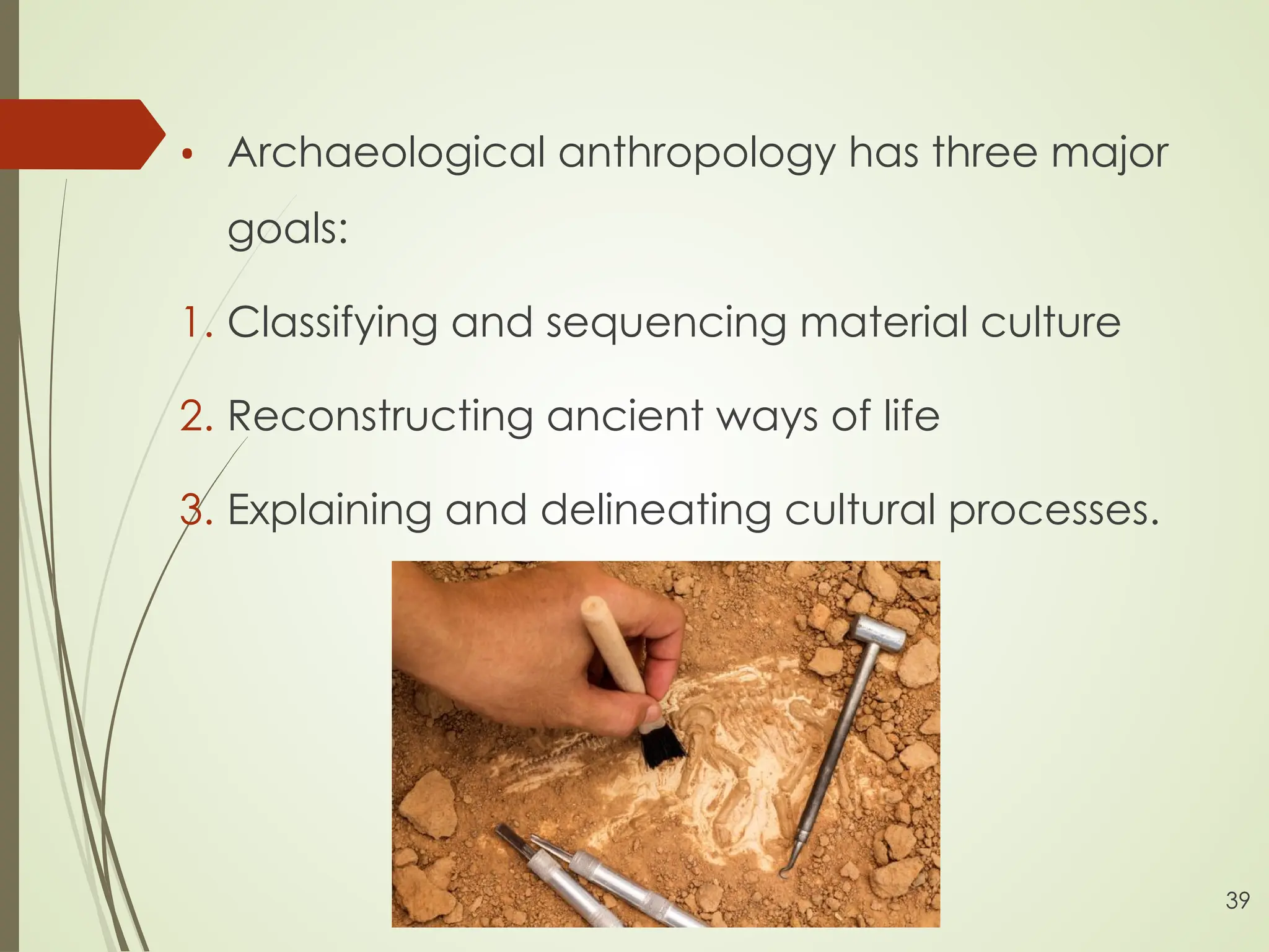 5. Anthropology.pptx anthropology presentation | PPT