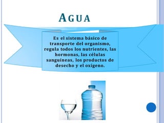 AG UA
Es el sistema básico de
transporte del organismo,
regula todos los nutrientes, las
hormonas, las células
sanguíneas, los productos de
desecho y el oxígeno.
 
