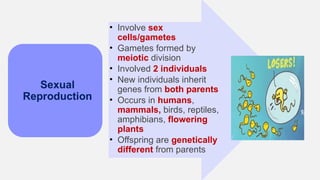5. KSSM F4 C15 Sexual Reproduction, Development and Growth in Humans ...