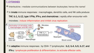 5. Types and cells of immunity in humans.pptx