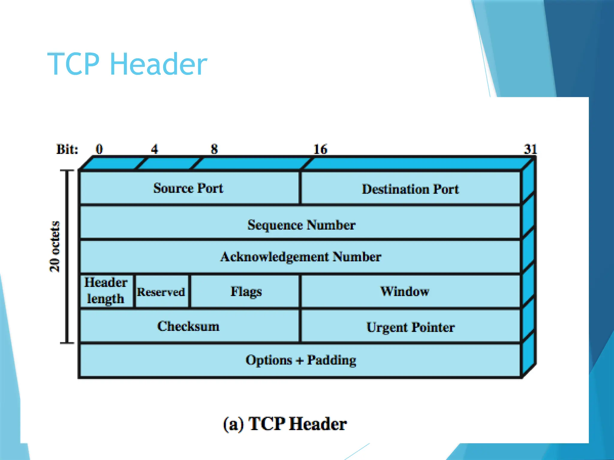 TCP Header
 